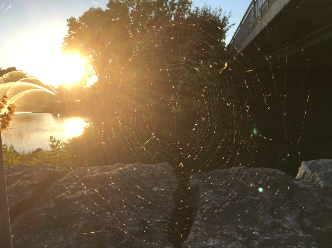 The Walter J. Blackburn Memorial Fountain-伦敦必去景点