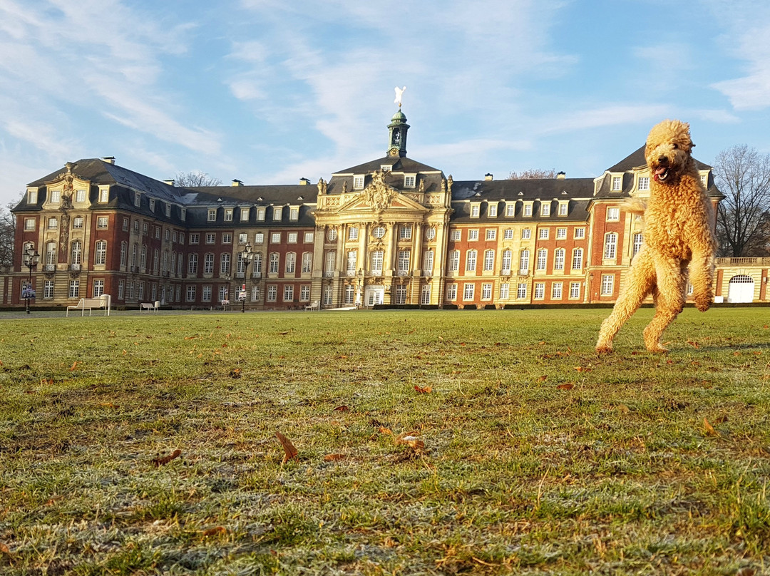 Schloss Münster景点图片