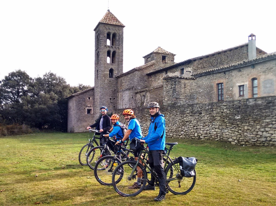 Swim and Ride Tours景点图片