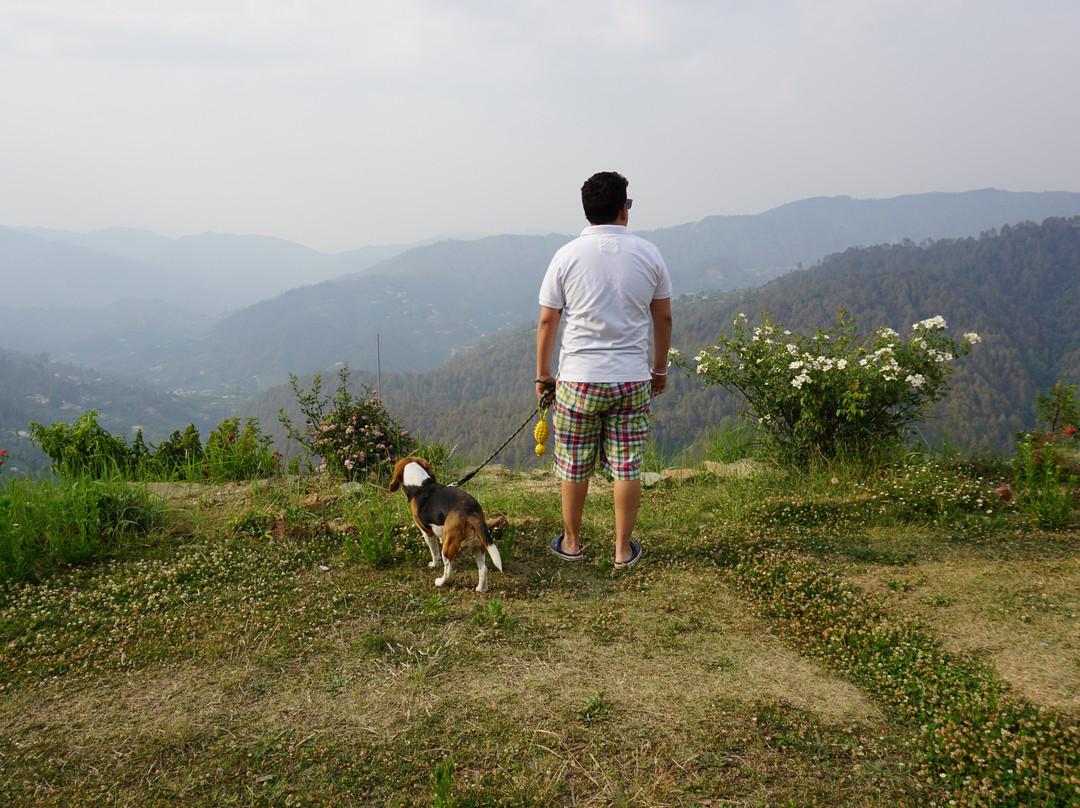 Oak Climbing Resort主图