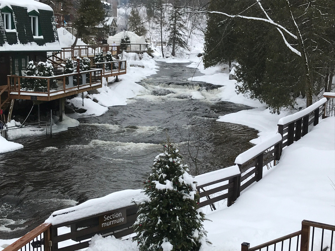 Auberge Le Papillon Sauvage主图