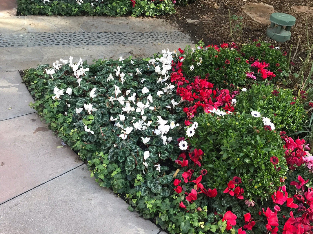 Valencia Town Center-圣克拉丽塔必去景点