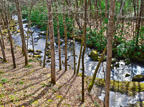 猫头鹰的栖息地（需要5英寸间隙）主图