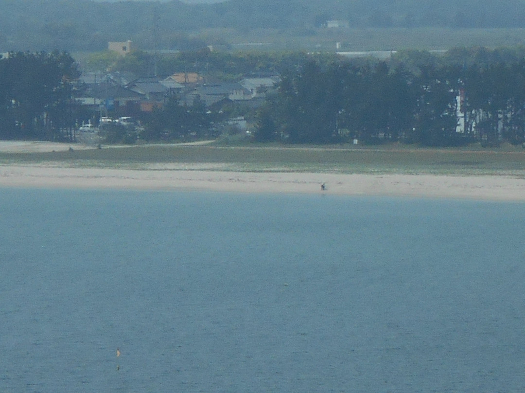 Yumigahama Beach-境港市必去景点