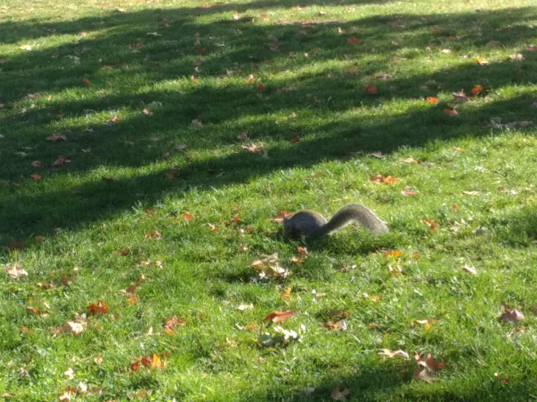 Institute Park-伍斯特必去景点