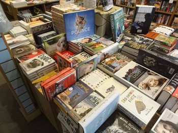 Padstow Bookseller-帕兹托必去景点