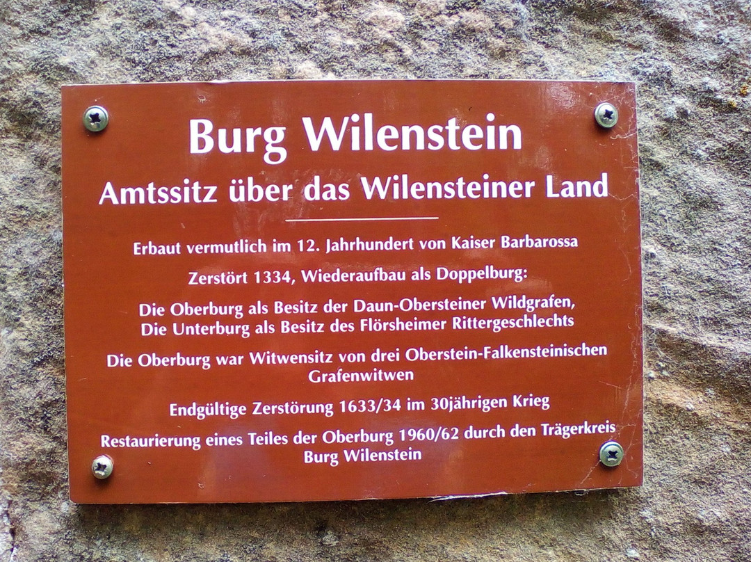 Burg Wilenstein-Flörsheim景点图片