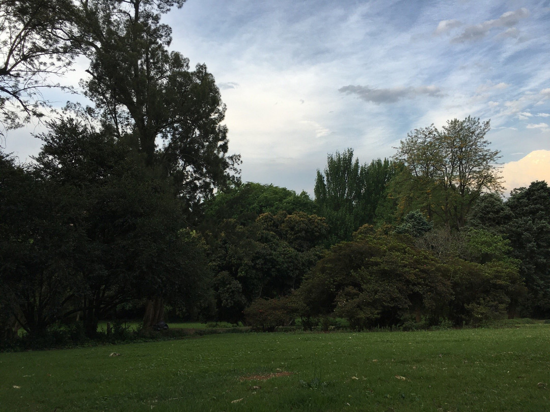 Wylie Park-彼得马里茨堡必去景点