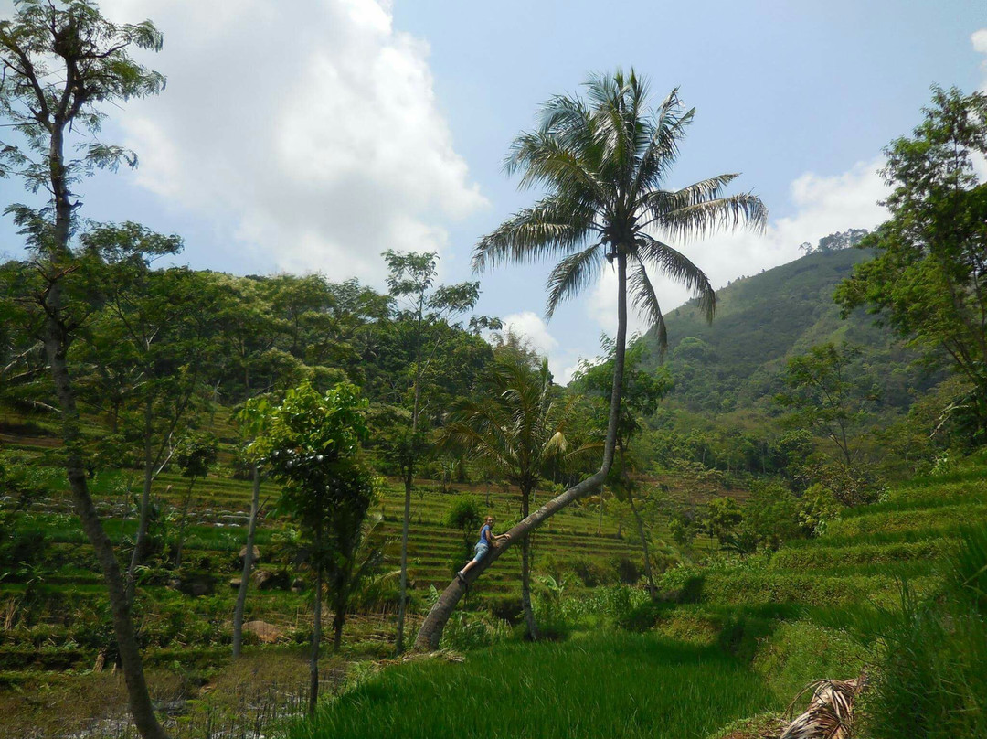 Stepstrip-Sleman必去景点