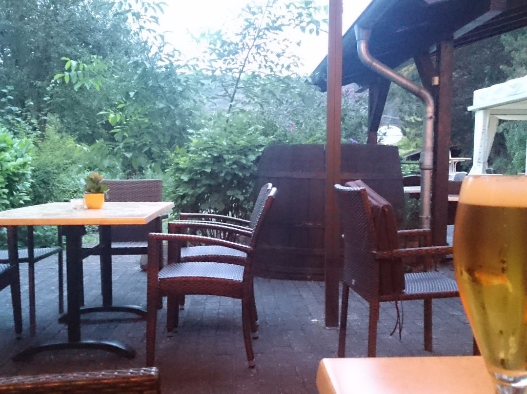 Landhotel Niederthaeler Hof主图