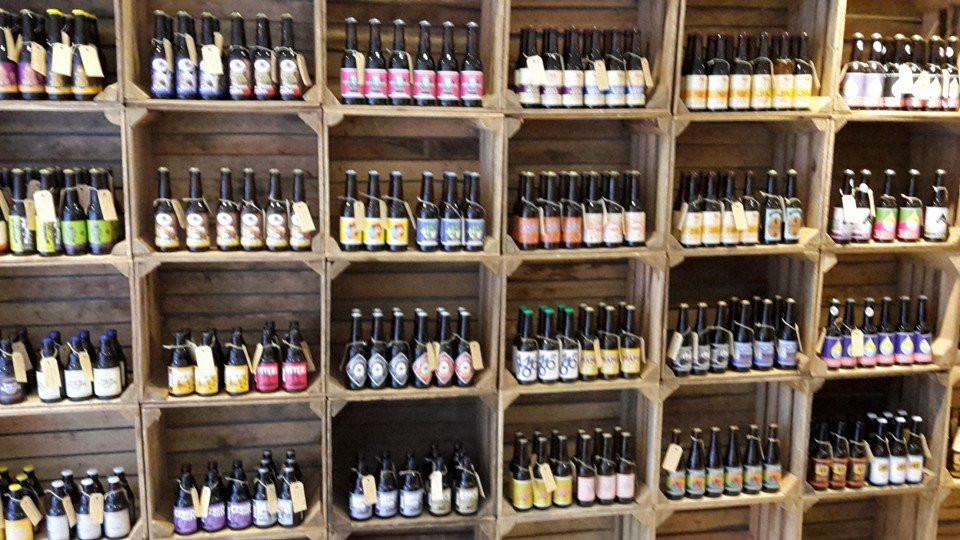 Bierwinkel Alkmaar景点图片