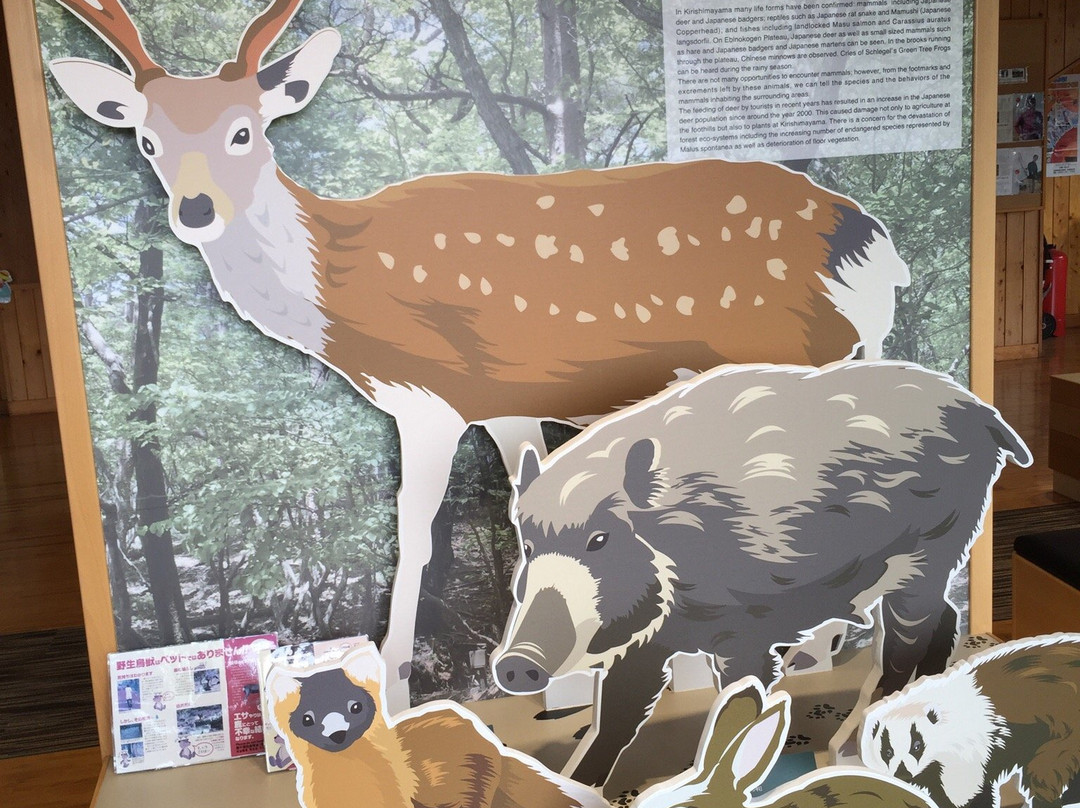Ebino Eco Museum-虾野市必去景点