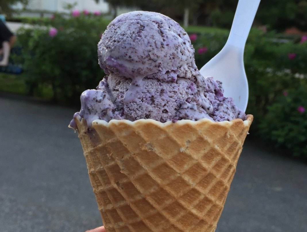 Hot Licks Homemade Ice Cream