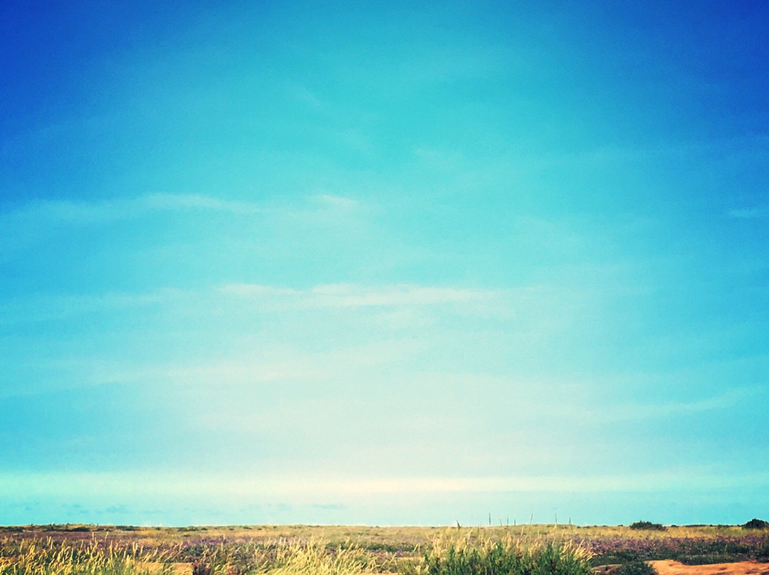 High Sand Creek Campsite