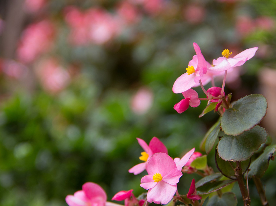 Casablanca Hotel Tula主图