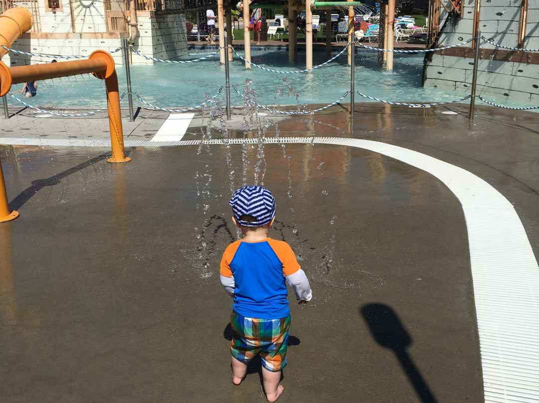 Pirates Cove Family Fun Aquatic Center-恩格尔伍德必去景点