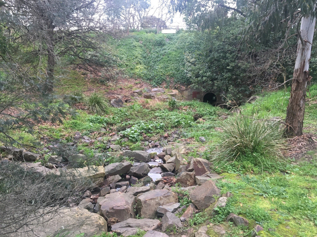 South Surrey Park-萨里山必去景点