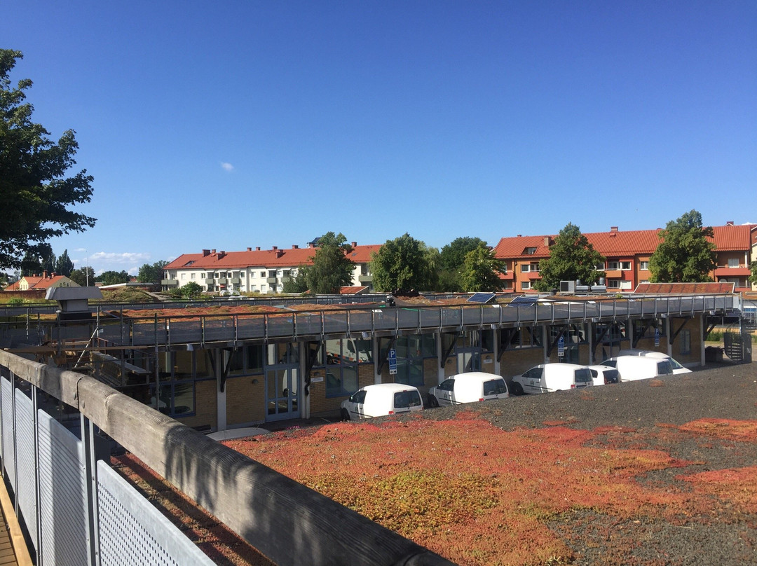 Oxie旅游景点-Augustenborg Botanical Roof Garden