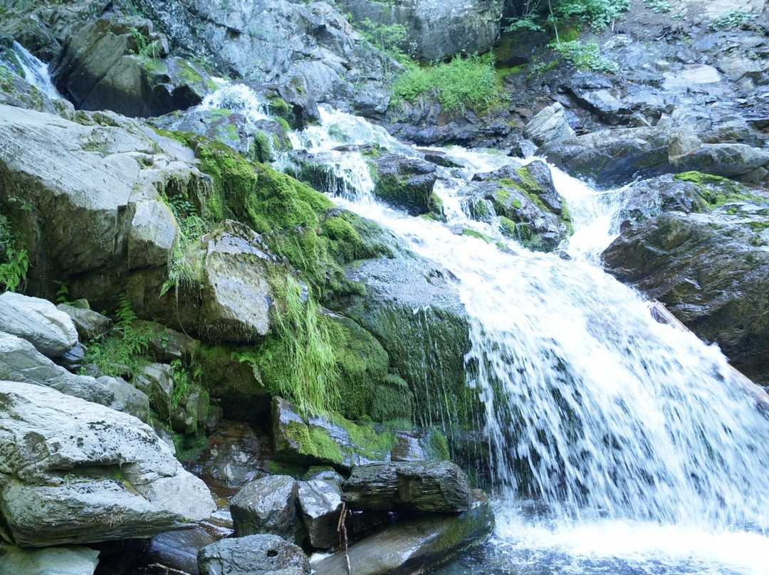 Sentiers de Randonnee Pedestre-Carleton-sur-Mer必去景点