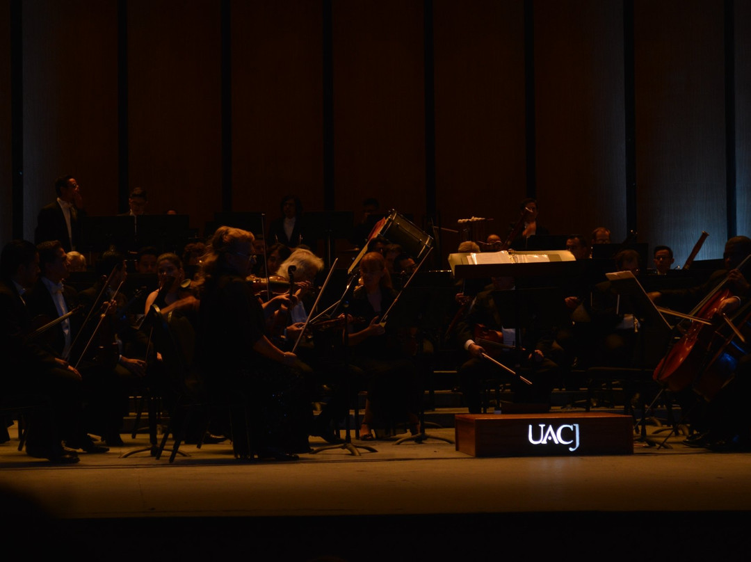 Centro Cultural Paso del Norte-华瑞兹城必去景点