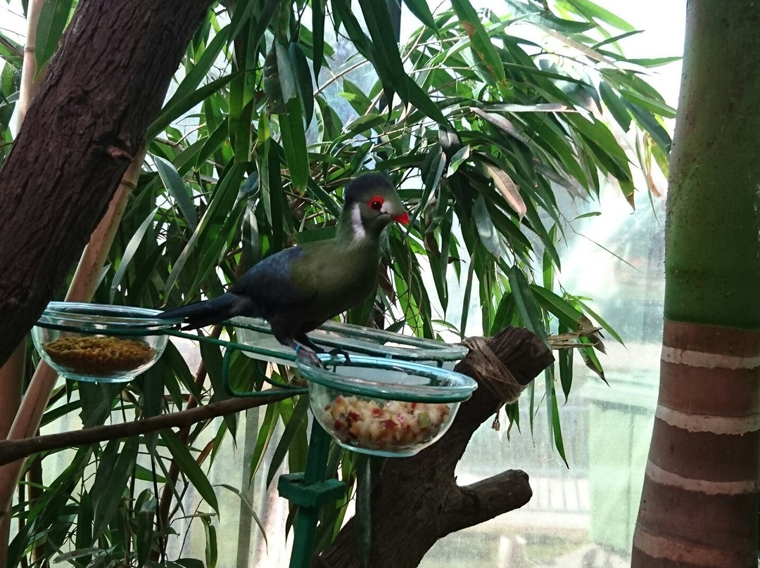 Selva Viva-圣地亚哥必去景点