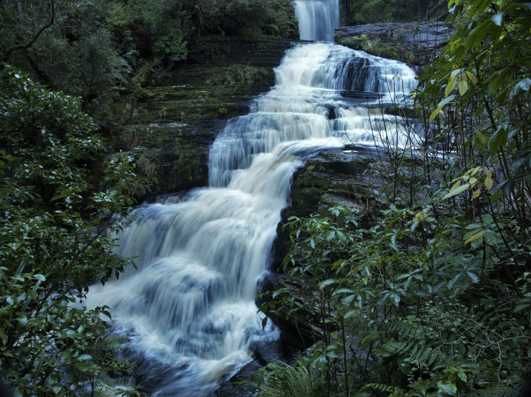 McLean Falls Walk景点图片