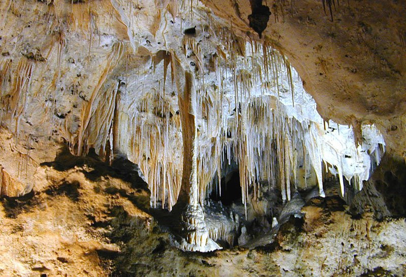 Limestone Cave Baratang景点图片