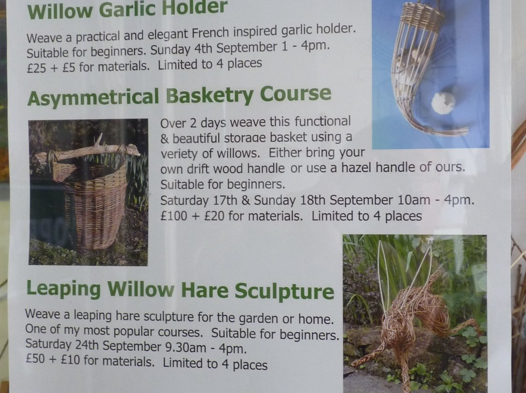 Creative with Nature Gallery景点图片