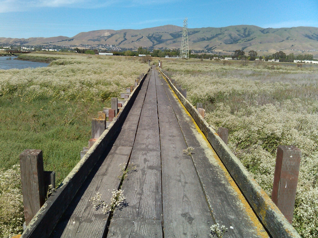 Don Edwards San Francisco National Wildlife Refuge-费利蒙必去景点