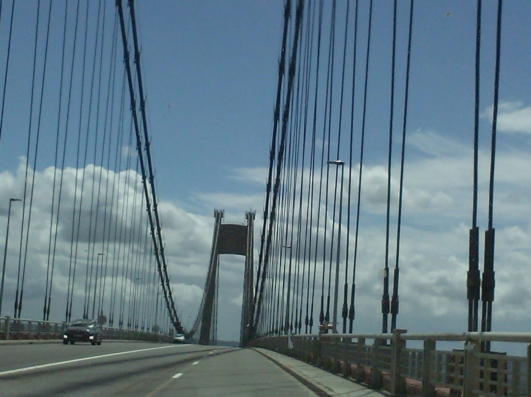 Pont de Tancarville景点图片
