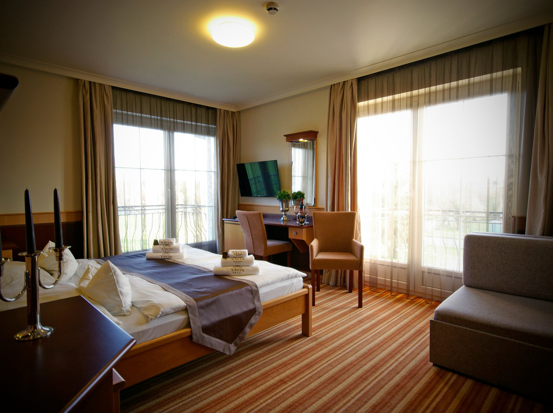 Hotel Xavin主图