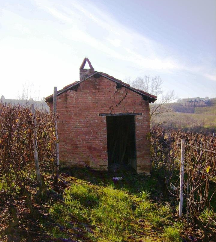 Azienda Agricola - Ca ed Curen景点图片