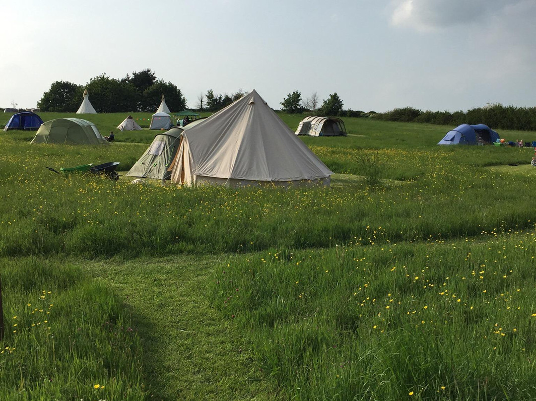 Twitey's Camping & Glamping Meadows