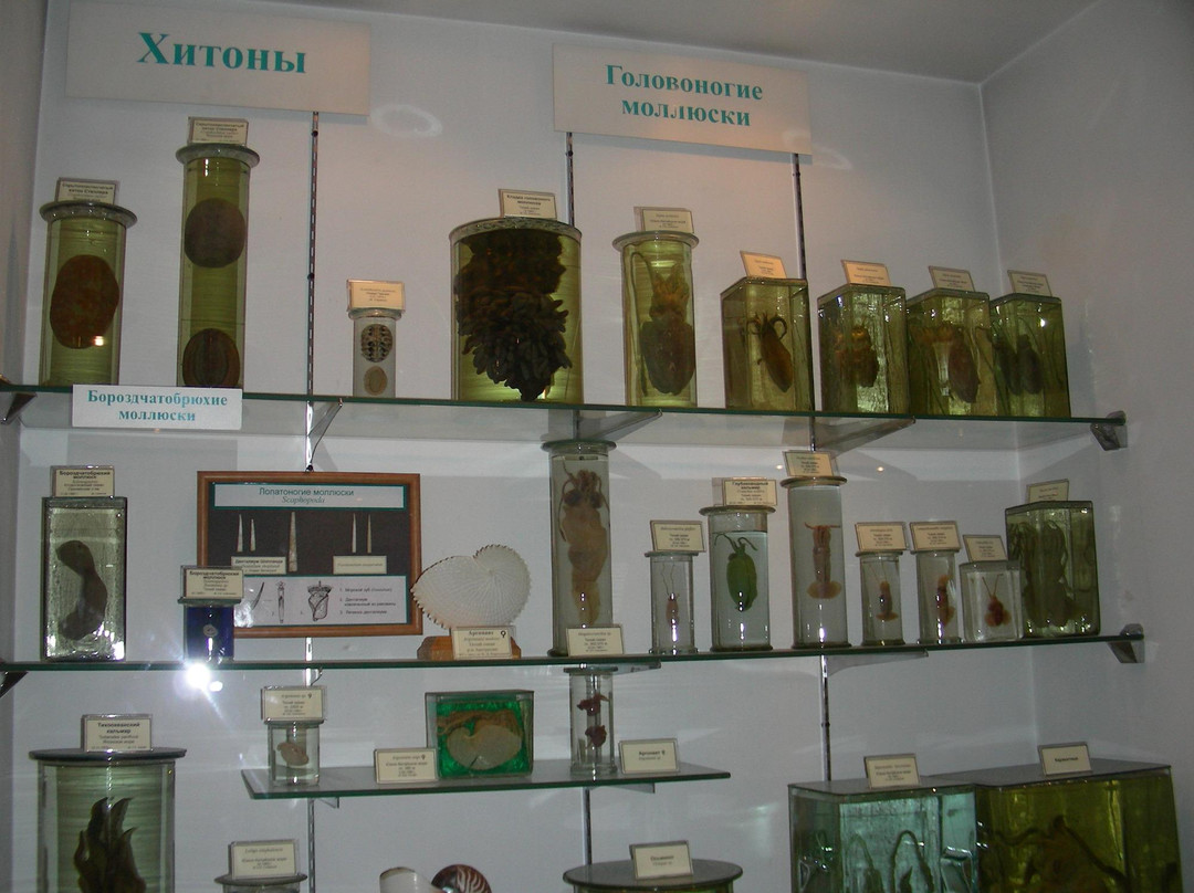 Scientific Museum-海参崴必去景点