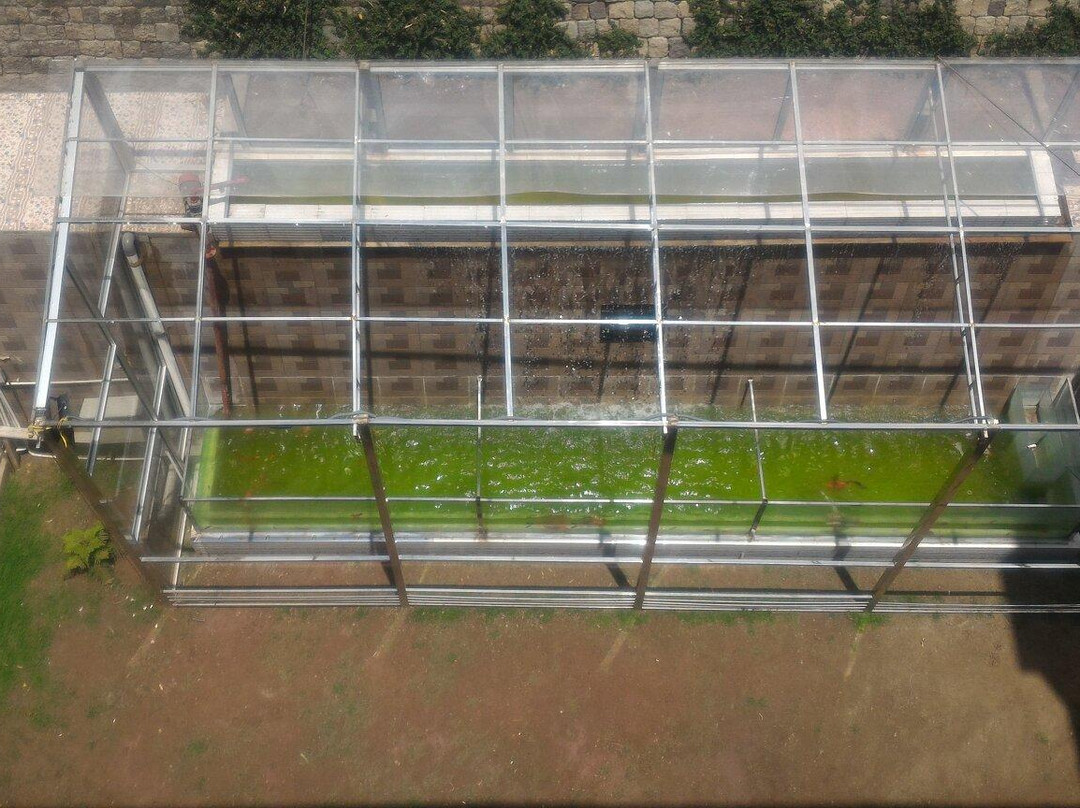 OYO 1293 Hotel AAA主图