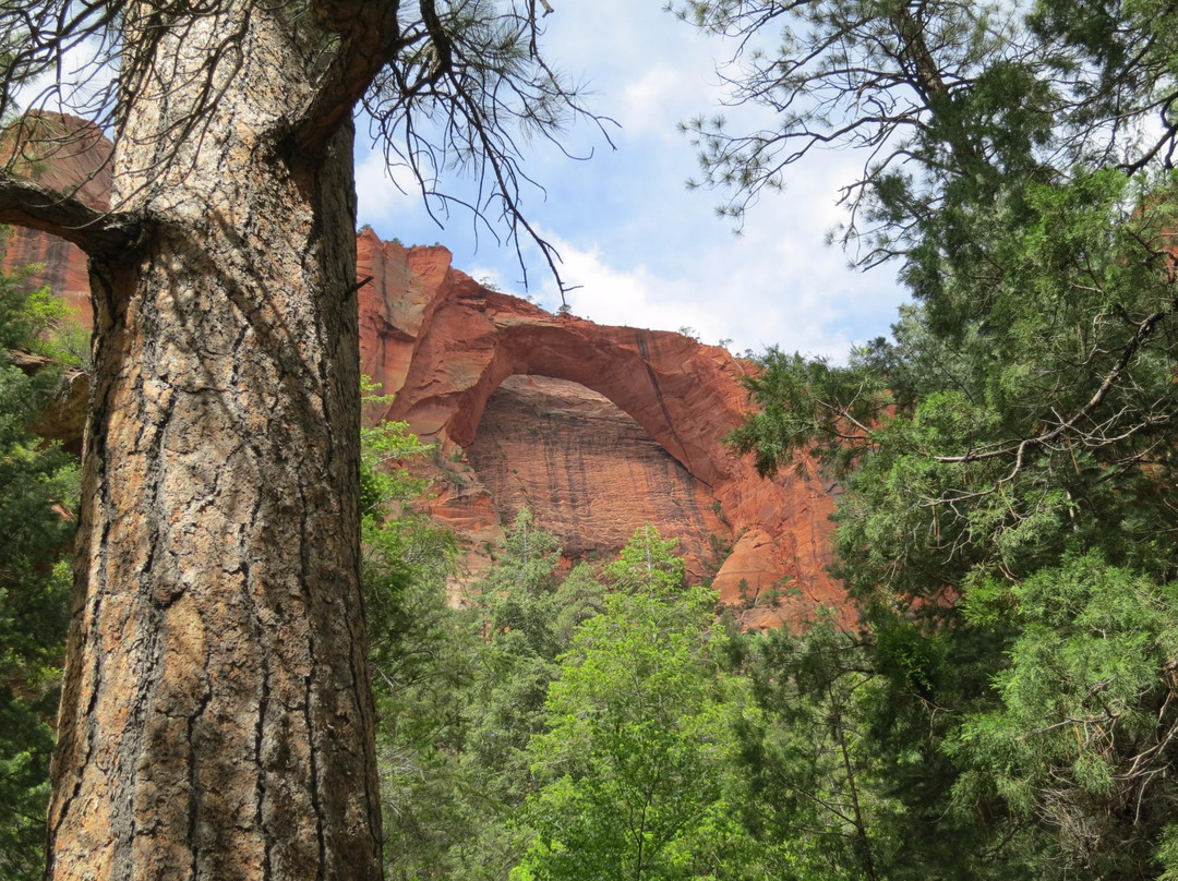 La Verkin Creek/Kolob Arch Trails-锡安国家公园必去景点