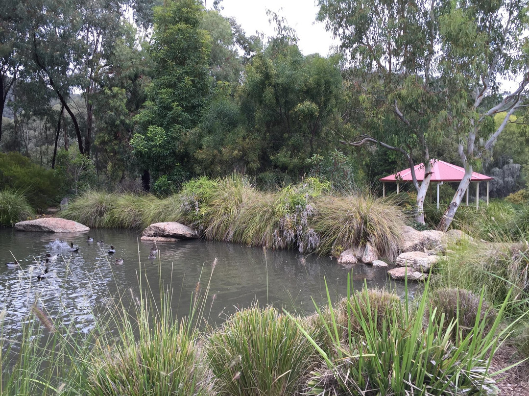 Tamworth Botanical Gardens景点图片