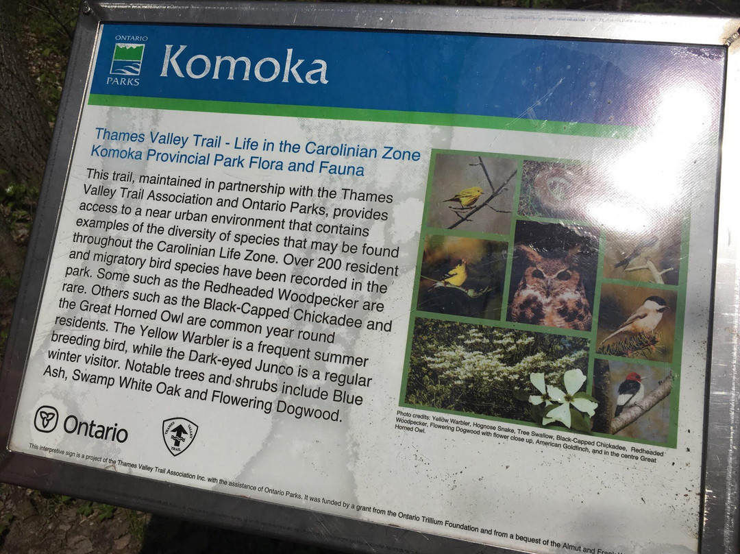 Komoka Provincial Park-伦敦必去景点