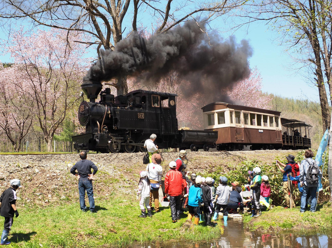 Shinrin Park Ikoi no Mori-远轻町必去景点