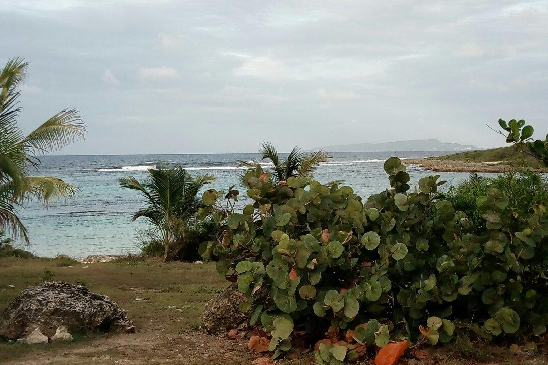 Anse à l'Eau-Saint Francois必去景点