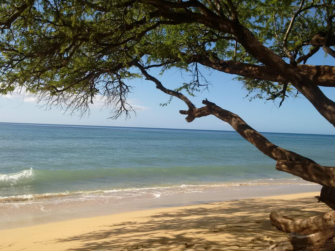Ukumehame Beach Park-拉海纳必去景点