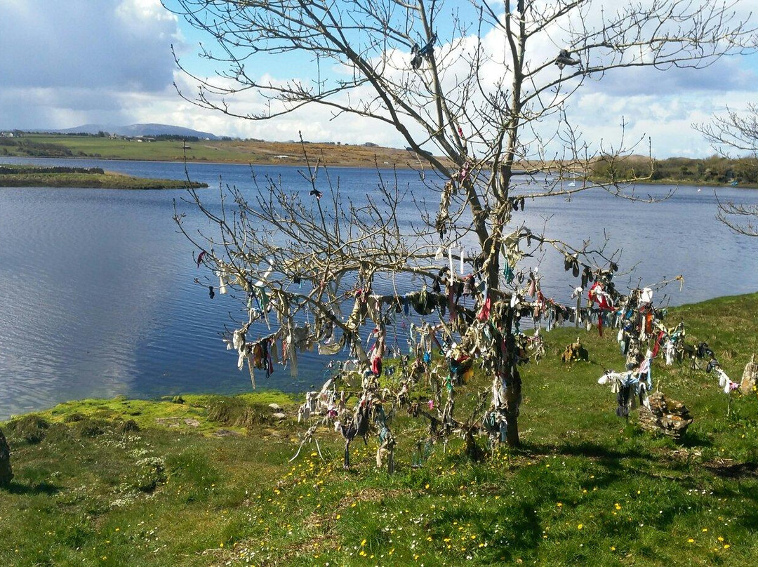 Saint Patrick's Well-Ballyshannon必去景点
