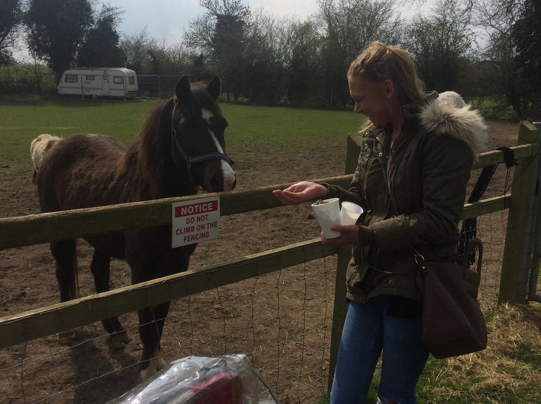 Paradise Found Educational Farm Park-Sapcote必去景点