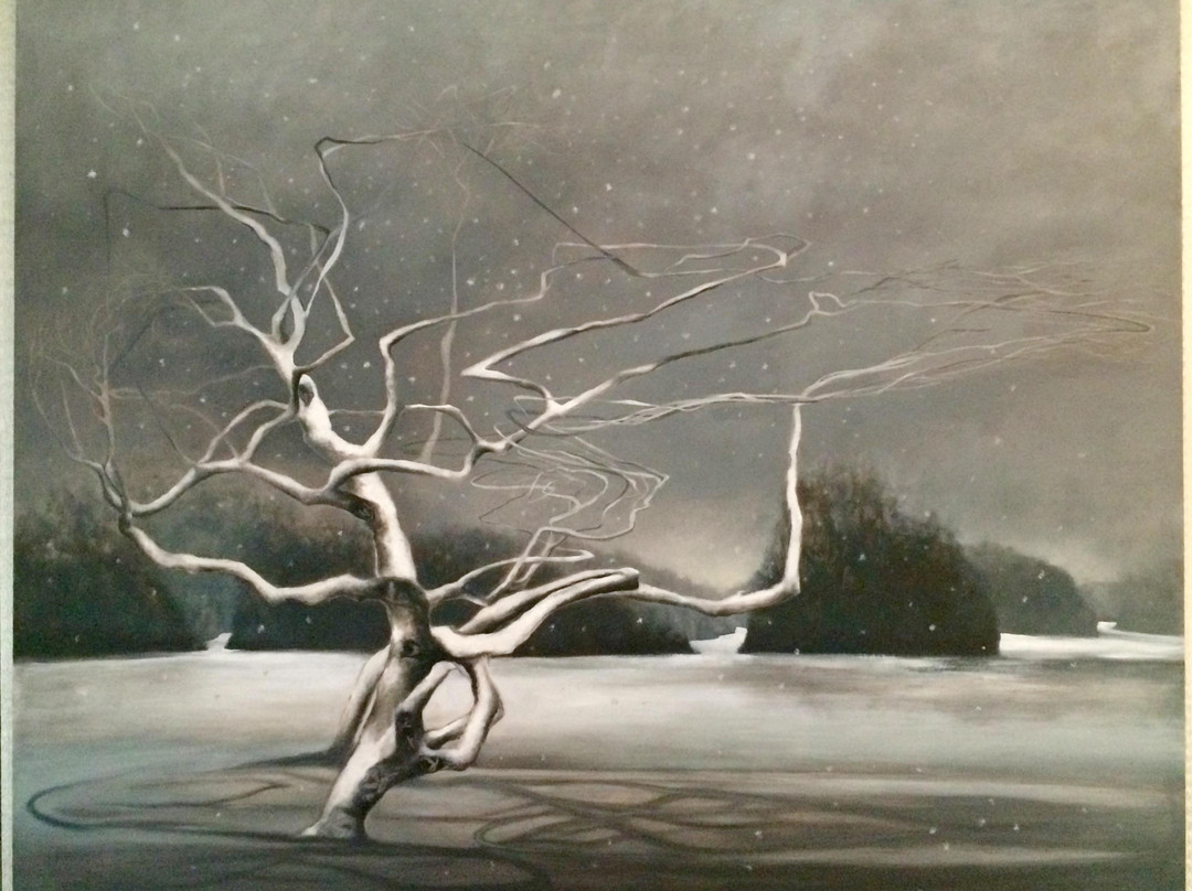 Consenses-Vineyard Haven必去景点