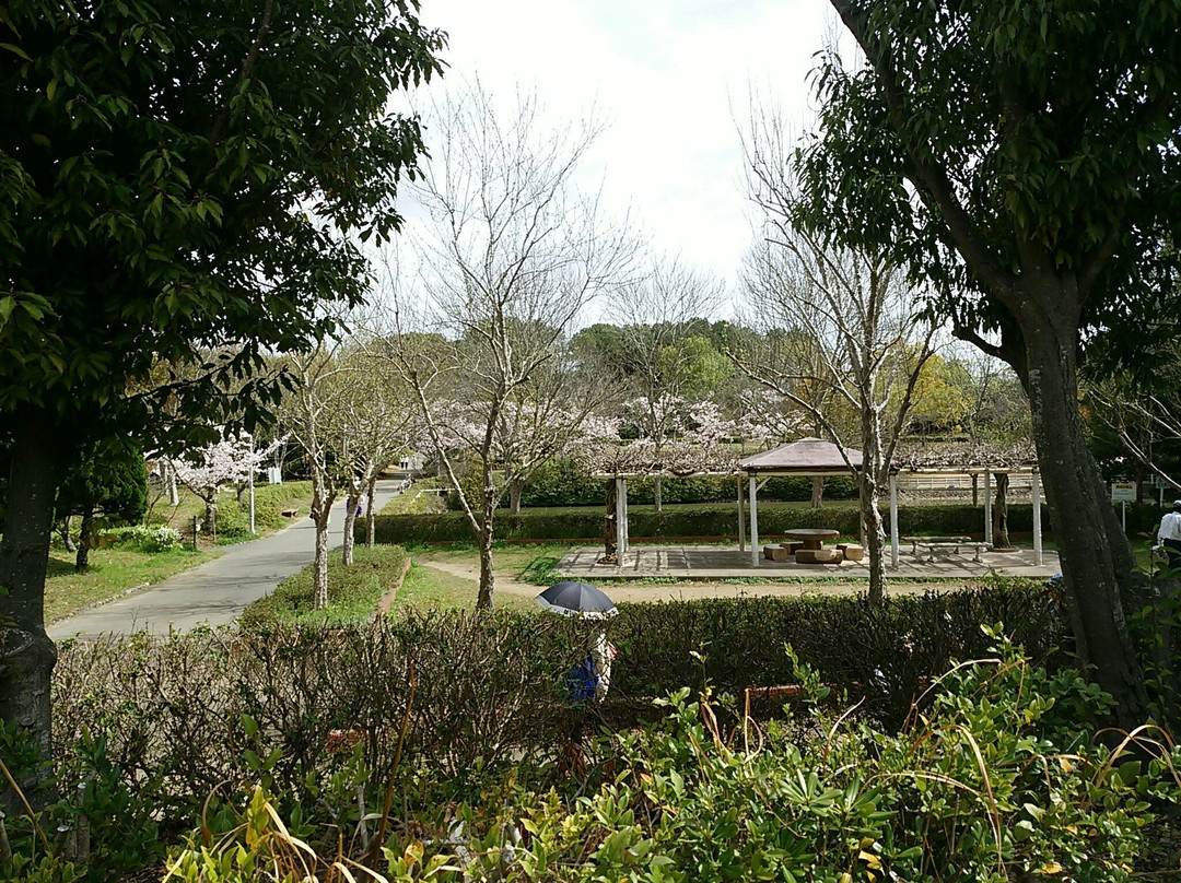 Hiokayama Park景点图片