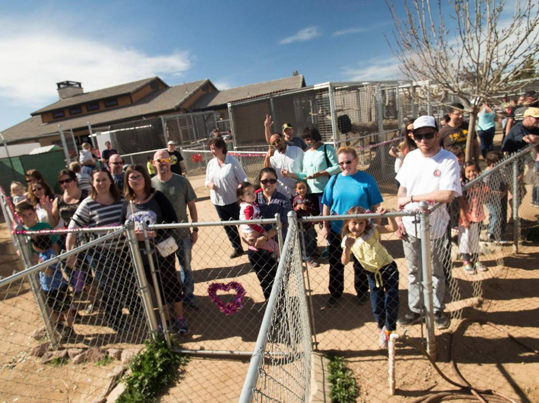 Forever Wild Exotic Animal Sanctuary-Phelan必去景点