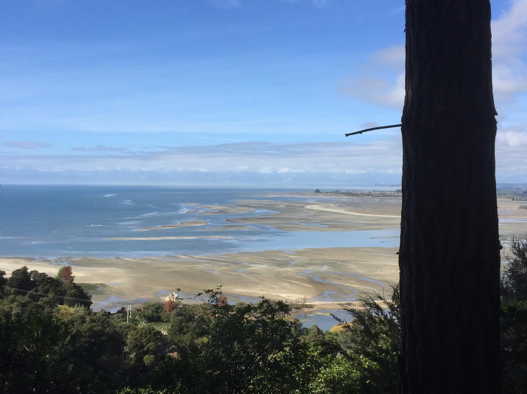 Kaiteriteri Mountain Bike Park景点图片