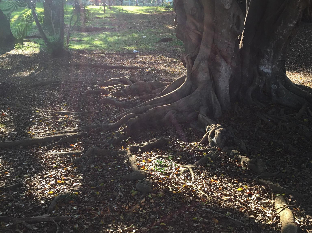 Parque de la Babilla-卡利必去景点