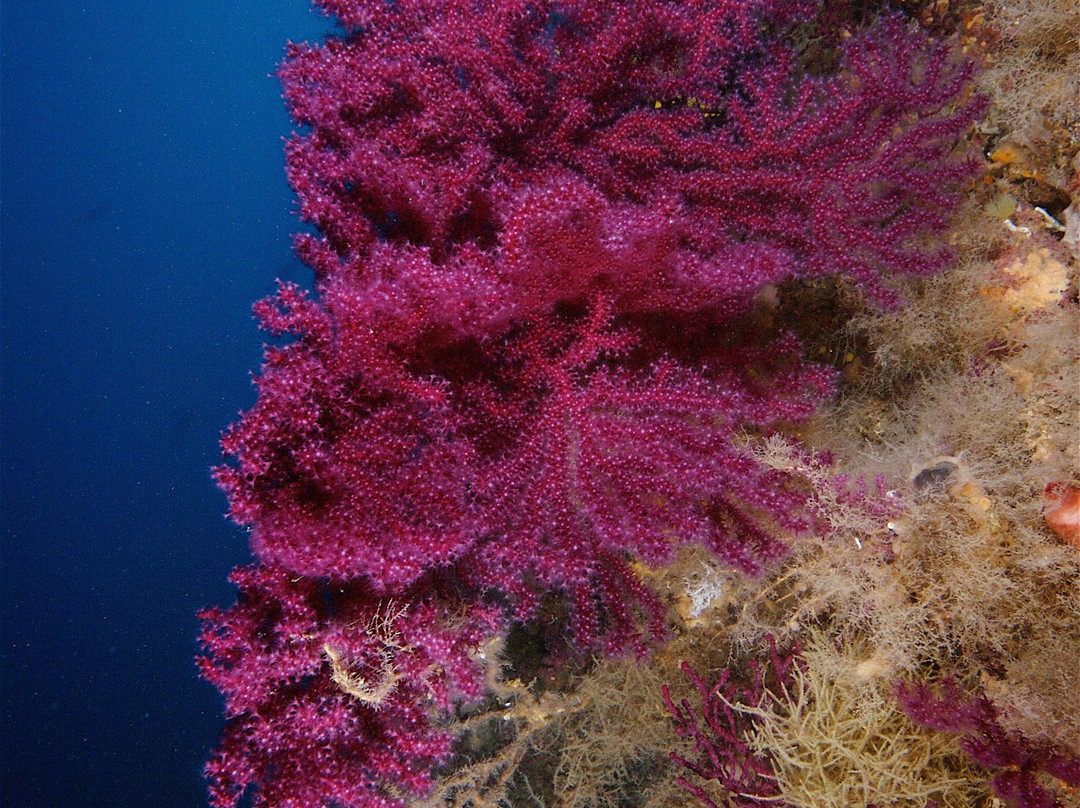 Dive City景点图片