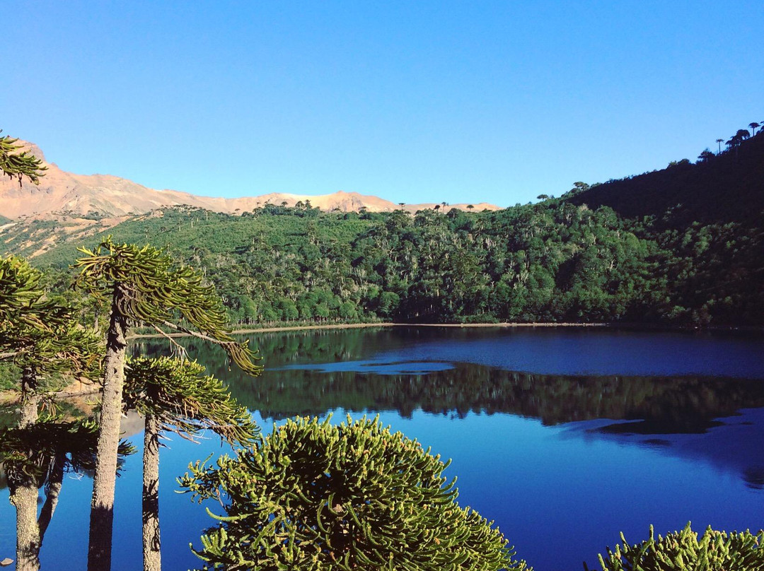 Laguna La Mula景点图片